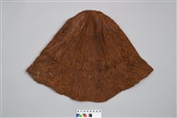 藏品(樹皮帽)的圖片